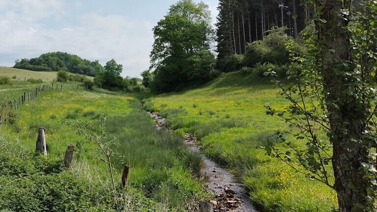 Am Genfbach