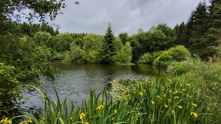 Lauschiger Urftweiher
