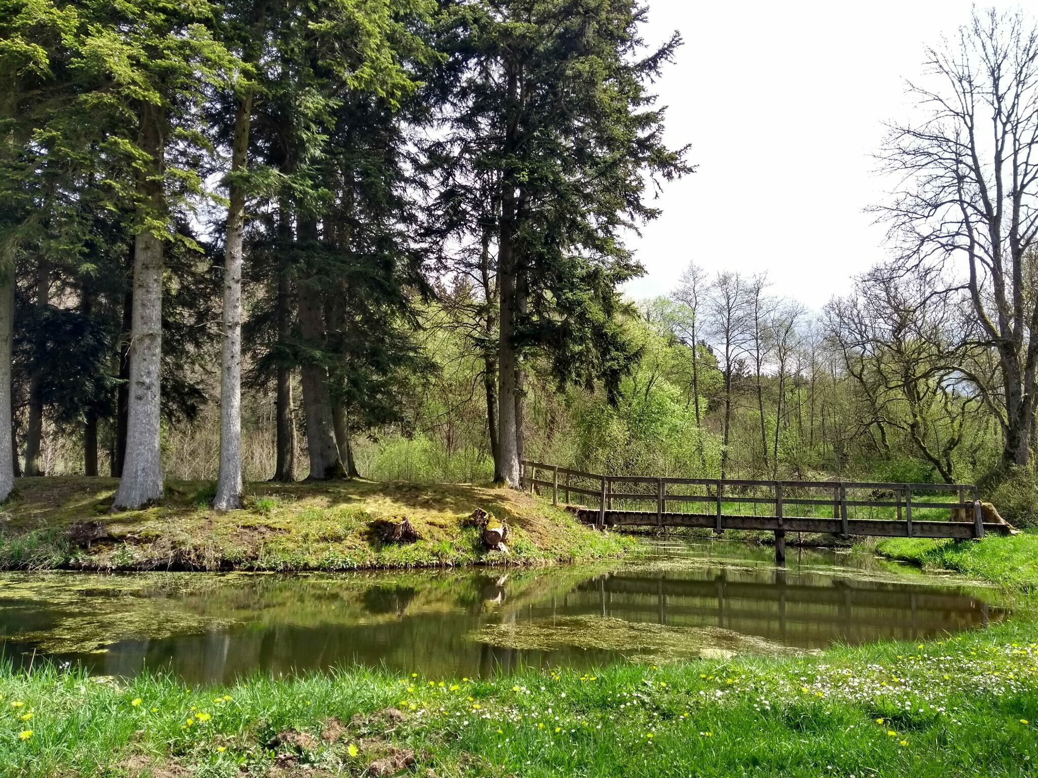 Motte Zehnbachshaus