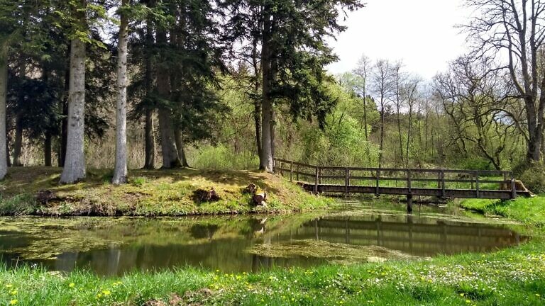 Motte Zehnbachshaus