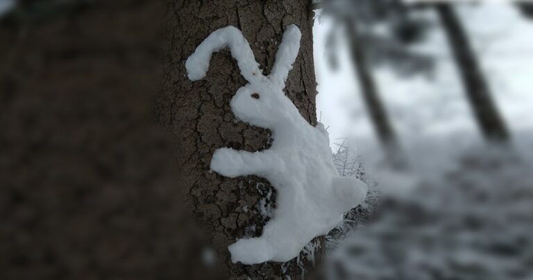 Schneehase am Baum