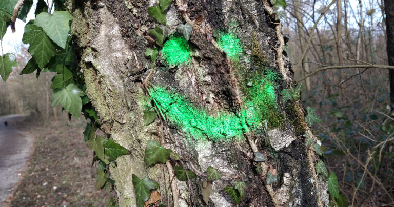 Smiley am Baum