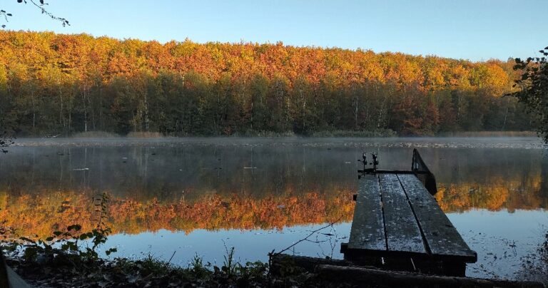 Villesee im Herbst