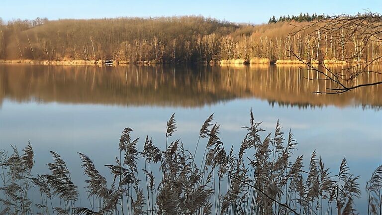 Villesee im Winter