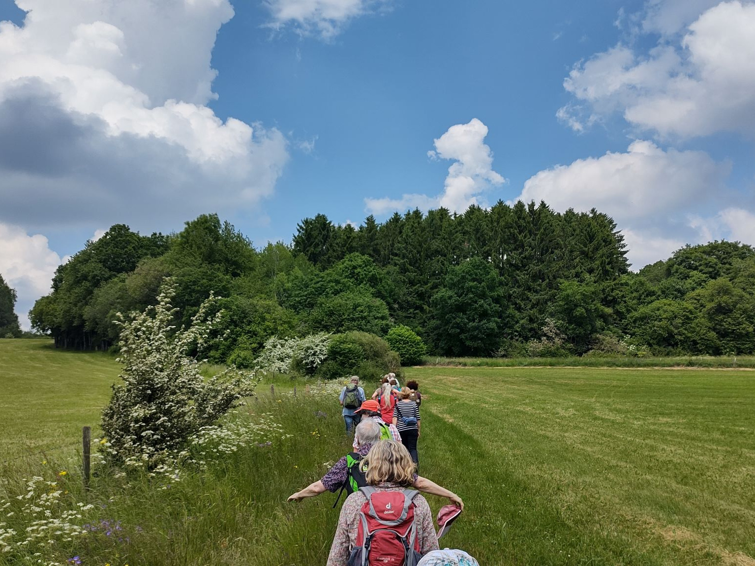 Wandergruppe in der Heide