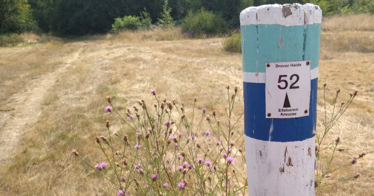 Wegmarkierung in der Drover Heide
