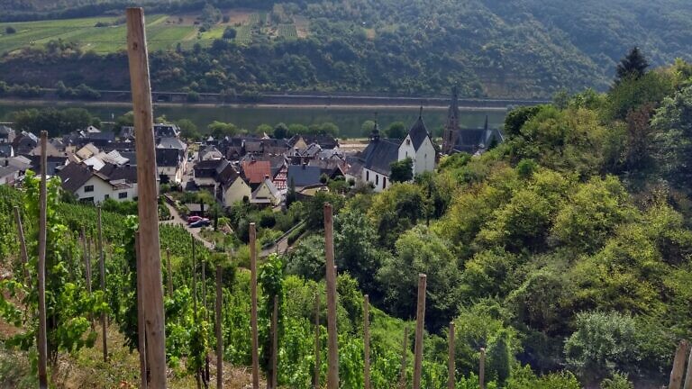 Blick vom Weinberg
